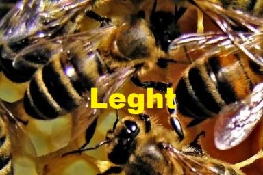 Leght