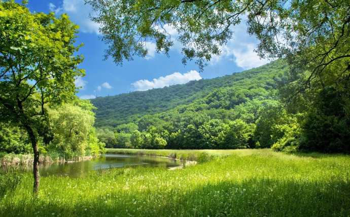 Красота природы