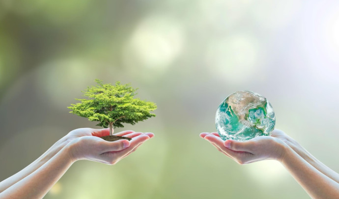 Красота природы